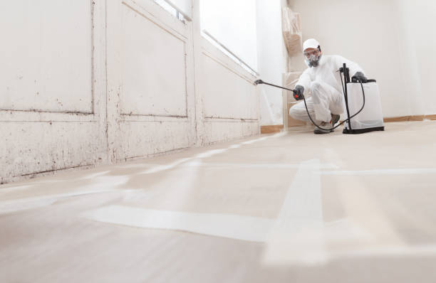 24/7 Emergency Black Mold Remediation experts in New Providence, PA